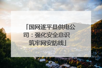国网遂平县供电公司：强化安全意识 筑牢网安防线