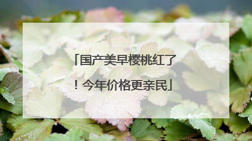 国产美早樱桃红了！今年价格更亲民