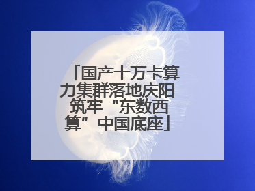 国产十万卡算力集群落地庆阳 筑牢“东数西算”中国底座