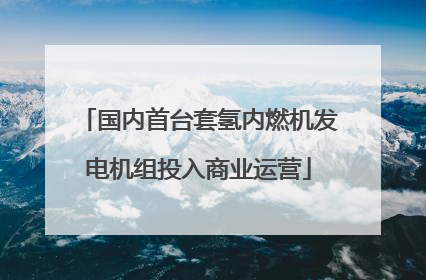 国内首台套氢内燃机发电机组投入商业运营