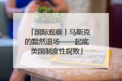 国际观察丨马斯克的黯然退场——起底美国制度性腐败