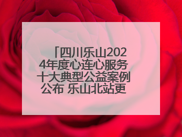 四川乐山2024年度心连心服务十大典型公益案例公布 乐山北站更名、绿心路井盖治理等上榜