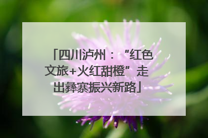 四川泸州：“红色文旅+火红甜橙”走出彝寨振兴新路