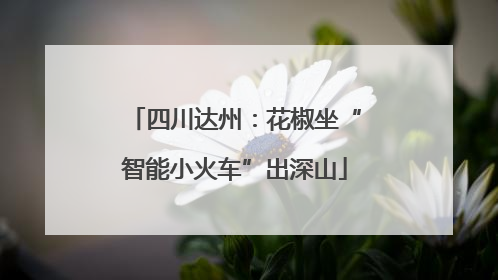 四川达州：花椒坐“智能小火车”出深山