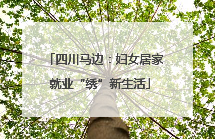 四川马边：妇女居家就业“绣”新生活