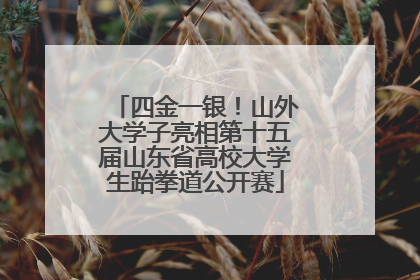 四金一银！山外大学子亮相第十五届山东省高校大学生跆拳道公开赛