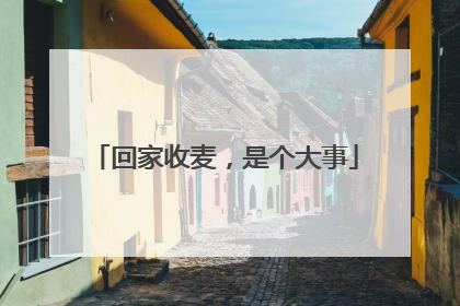 回家收麦，是个大事