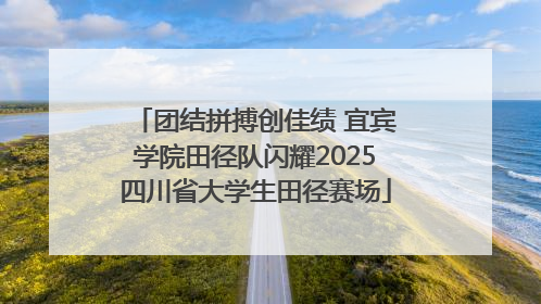 团结拼搏创佳绩 宜宾学院田径队闪耀2025四川省大学生田径赛场