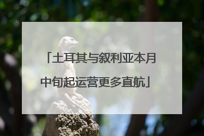土耳其与叙利亚本月中旬起运营更多直航