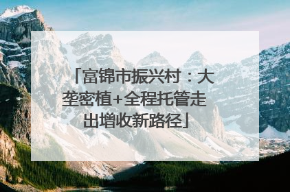 富锦市振兴村：大垄密植+全程托管走出增收新路径
