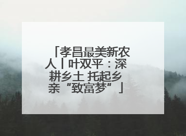 孝昌最美新农人丨叶双平：深耕乡土 托起乡亲“致富梦”