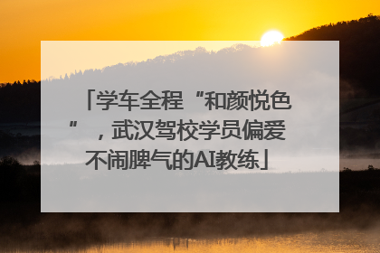学车全程“和颜悦色”，武汉驾校学员偏爱不闹脾气的AI教练