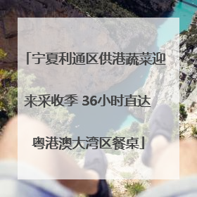 宁夏利通区供港蔬菜迎来采收季 36小时直达粤港澳大湾区餐桌