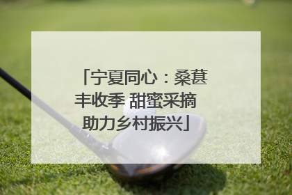 宁夏同心：桑葚丰收季 甜蜜采摘助力乡村振兴