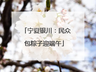 宁夏银川：民众包粽子迎端午