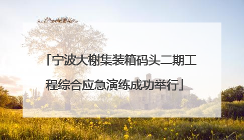 宁波大榭集装箱码头二期工程综合应急演练成功举行