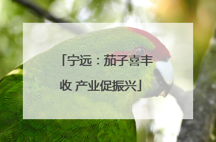 宁远：茄子喜丰收 产业促振兴