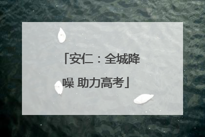 安仁：全城降噪 助力高考