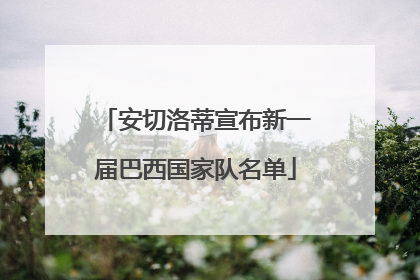 安切洛蒂宣布新一届巴西国家队名单
