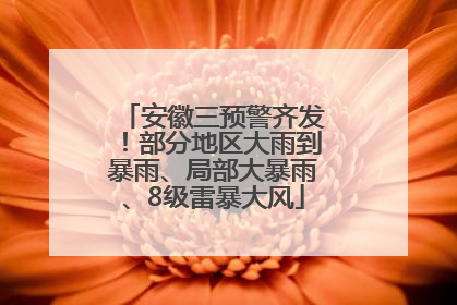 安徽三预警齐发！部分地区大雨到暴雨、局部大暴雨、8级雷暴大风