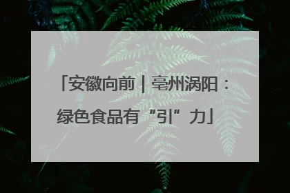 安徽向前｜亳州涡阳：绿色食品有“引”力