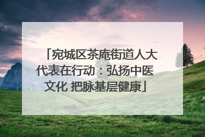 宛城区茶庵街道人大代表在行动：弘扬中医文化 把脉基层健康