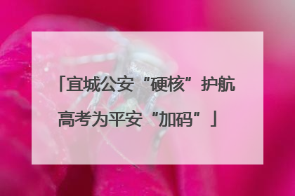宜城公安“硬核”护航高考为平安“加码”