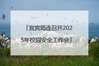 宜宾筠连召开2025年校园安全工作会