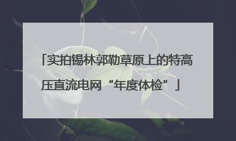 实拍锡林郭勒草原上的特高压直流电网“年度体检”