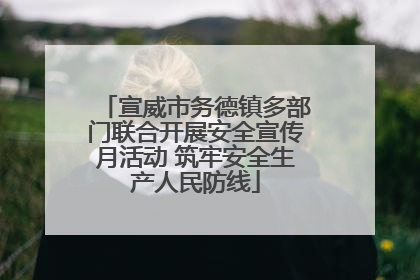 宣威市务德镇多部门联合开展安全宣传月活动 筑牢安全生产人民防线