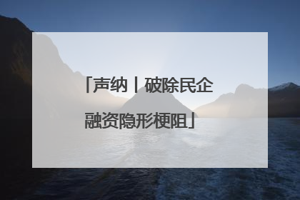 声纳丨破除民企融资隐形梗阻