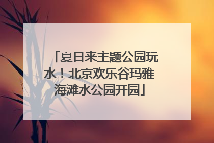 夏日来主题公园玩水！北京欢乐谷玛雅海滩水公园开园
