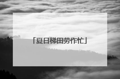 夏日梯田劳作忙