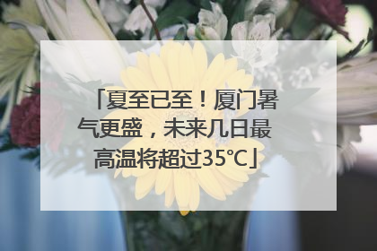 夏至已至！厦门暑气更盛，未来几日最高温将超过35℃