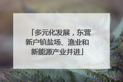 多元化发展，东营新户镇盐场、渔业和新能源产业并进