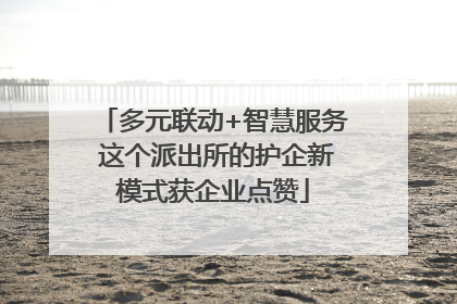 多元联动+智慧服务 这个派出所的护企新模式获企业点赞