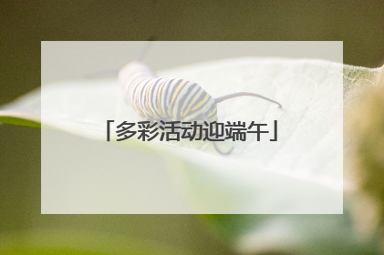 多彩活动迎端午