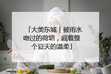 大美东城｜被雨水吻过的荷塘，藏着整个夏天的温柔