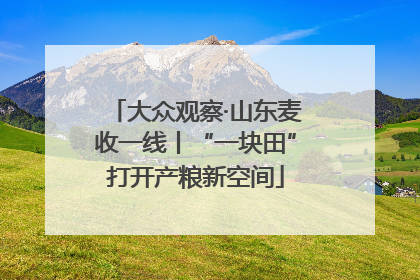 大众观察·山东麦收一线丨“一块田”打开产粮新空间