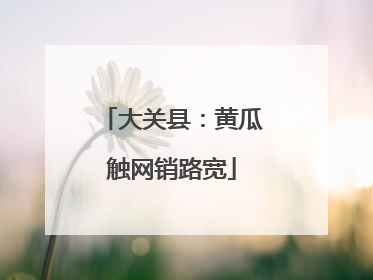 大关县：黄瓜触网销路宽