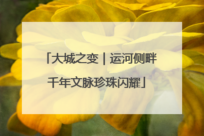 大城之变｜运河侧畔 千年文脉珍珠闪耀