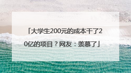 大学生200元的成本干了20亿的项目？网友：羡慕了