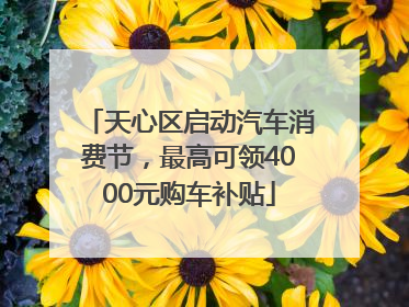 天心区启动汽车消费节，最高可领4000元购车补贴