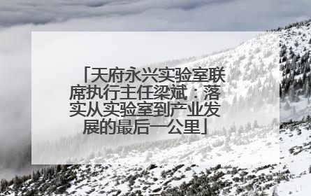 天府永兴实验室联席执行主任梁斌：落实从实验室到产业发展的最后一公里