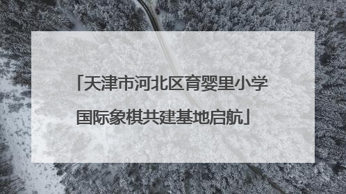 天津市河北区育婴里小学国际象棋共建基地启航