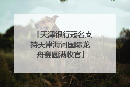 天津银行冠名支持天津海河国际龙舟赛圆满收官