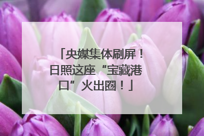 央媒集体刷屏！日照这座“宝藏港口”火出圈！