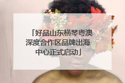 好品山东横琴粤澳深度合作区品牌出海中心正式启动