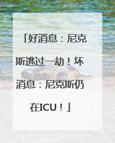 好消息：尼克斯逃过一劫！坏消息：尼克斯仍在ICU！