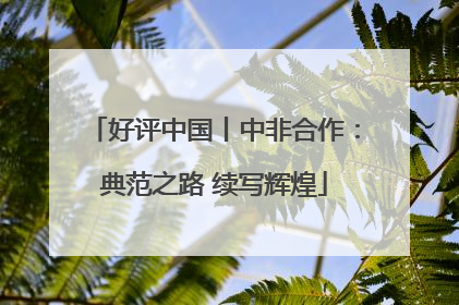 好评中国丨中非合作:典范之路 续写辉煌